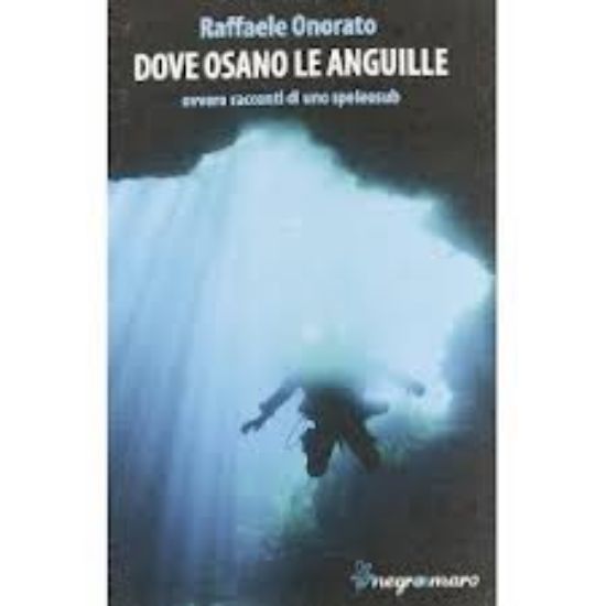 Immagine di Dove osano le anguille ovvero racconti di uno speleosub